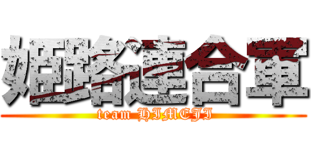 姫路連合軍 ( team HIMEJI)