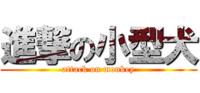 進撃の小型犬 (attack on monkey)