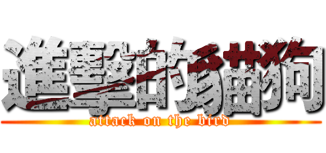 進擊的貓狗 (attack on the bird)