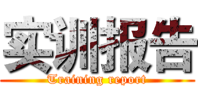 实训报告 (Training report)
