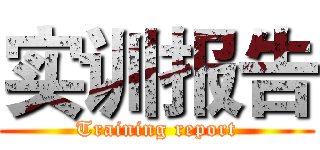 实训报告 (Training report)