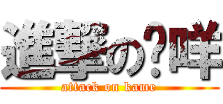 進撃の卡咩 (attack on kame)