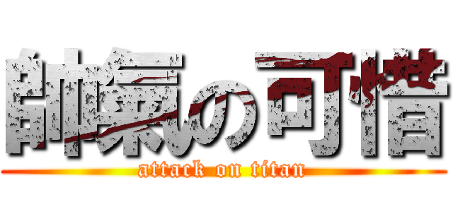 帥氣の可惜 (attack on titan)