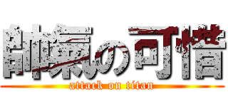 帥氣の可惜 (attack on titan)