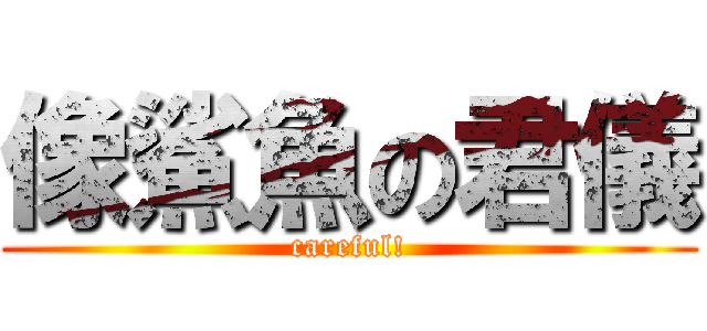 像鯊魚の君儀 (careful!)