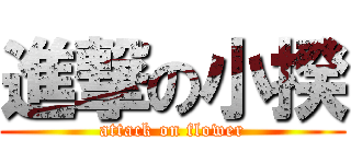 進撃の小揆 (attack on flower)