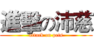 進擊の沛慈 (attack on pets)