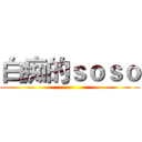 白痴的ｓｏｓｏ ()