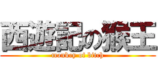 西遊記の猴王 (monkey of bitch)
