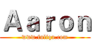 Ａａｒｏｎ (www.fuliqu.com)