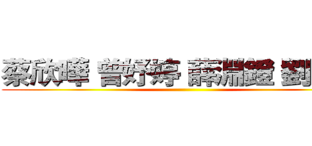 蔡欣曄 曾妤婷 薛淵鐙 劉玟瑄 ()