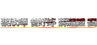 蔡欣曄 曾妤婷 薛淵鐙 劉玟瑄 ()