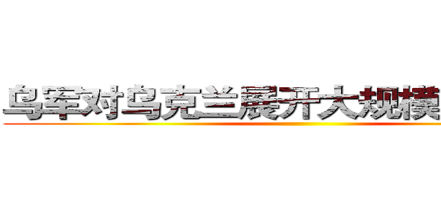 乌军对乌克兰展开大规模军事行动 ()