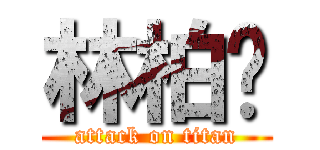 林柏炜 (attack on titan)