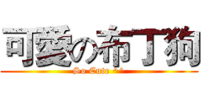 可愛の布丁狗 (So Cute ^^)