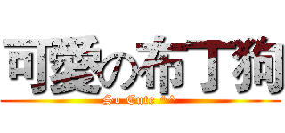 可愛の布丁狗 (So Cute ^^)