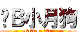 傻Ｂ小月狗 (attack on titan)