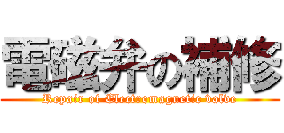 電磁弁の補修 (Repair of Electromagnetic valve)