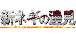 新ネギの邊見 (New green onion on disaster)