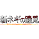 新ネギの邊見 (New green onion on disaster)