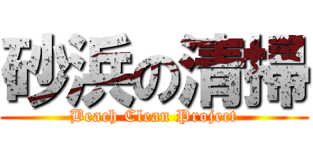 砂浜の清掃 (Beach Clean Project)