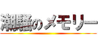 潮騒のメモリー ()