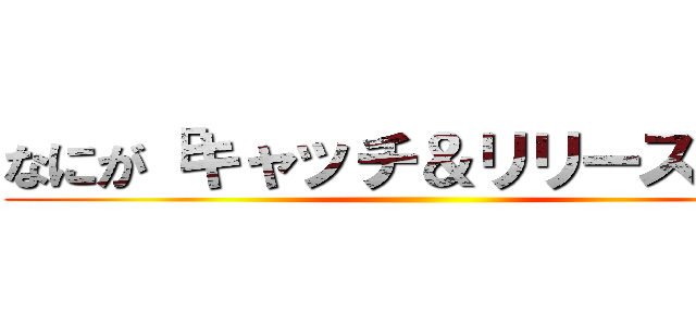 なにが「キャッチ＆リリース」だ！ ()