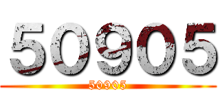 ５０９０５ (50905)