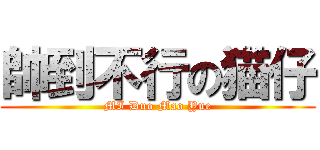 帥到不行の猫仔 (MI Duo Mao Yue)