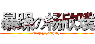 暴躁の杨欣璞 (angry yangxp)