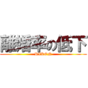 離婚率の低下 (RIKON)