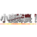 小鹿隊長！ (attack on titan)