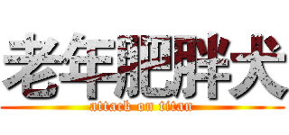 老年肥胖犬 (attack on titan)