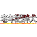 老年肥胖犬 (attack on titan)