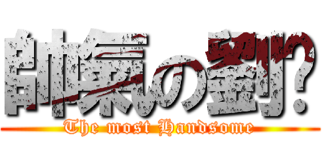 帥氣の劉暐 (The most Handsome)