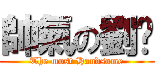 帥氣の劉暐 (The most Handsome)