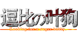 逗比の叶狗 (Looking for a sugar daddy.)