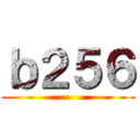 ｂ２５６ ()