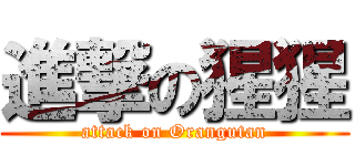 進撃の猩猩 (attack on Orangutan)