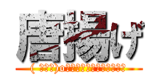 唐揚げ (( ﾟ∀ﾟ)o彡゜からあげ！からあげ！)