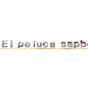 Ｅｌ ｐｅｌｕｃａ ｓａｐｂｅｅｅ (Putas, harry putas)