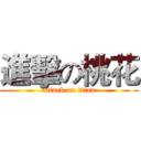 進擊の桃花 (attack on titan)