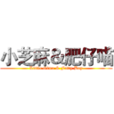 小芝麻＆肥仔喵 (Little Gima & Fatty Boy)