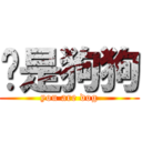 你是狗狗 (you are dog)