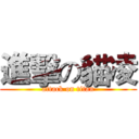 進擊の貓凌 (attack on titan)