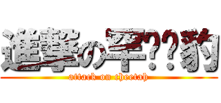 進撃の罕见猎豹 (attack on cheetah)