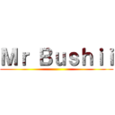 Ｍｒ Ｂｕｓｈｉｉ ()