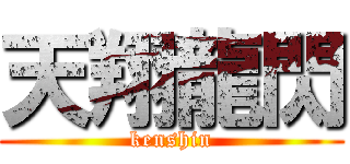 天翔龍閃 (kenshin)