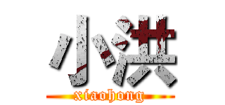 小洪 (xiaohong)