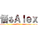 悟るＡｌｅｘ (Alex)